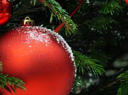 Czerwona bombka wisi na gałązce