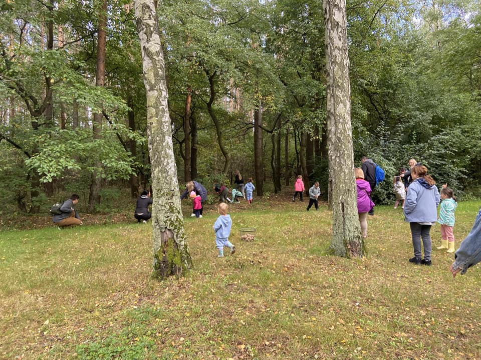 Dzieci biegają po lesie szukając ziemniak&oacute;w.
