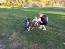 Dzieci układają na trawie ziemniaki w rzędzie.