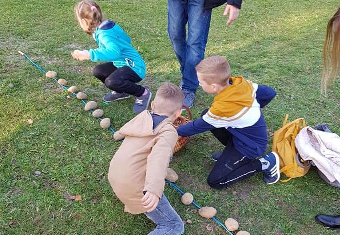 Dzieci układają na trawie ziemniaki w rzędzie.