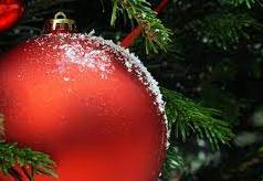 Czerwona bombka wisi na gałązce