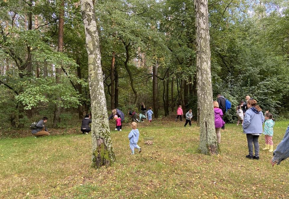 Dzieci biegają po lesie szukając ziemniaków.