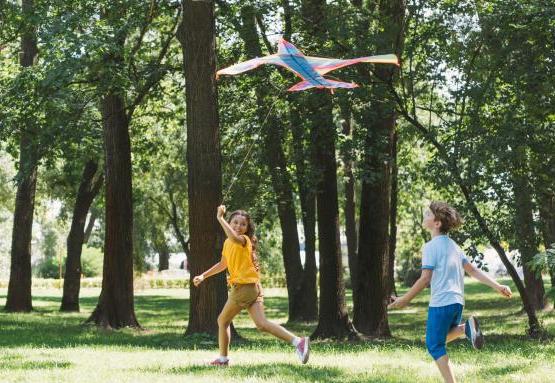 Dwoje dzieci puszcza latawiec w parku.